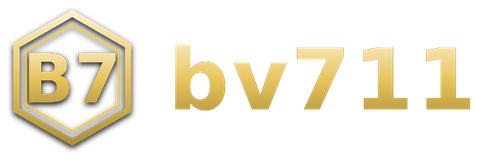 bv711 logo